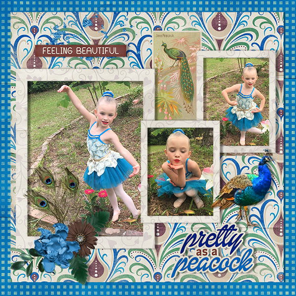 Pretty as a Peacock