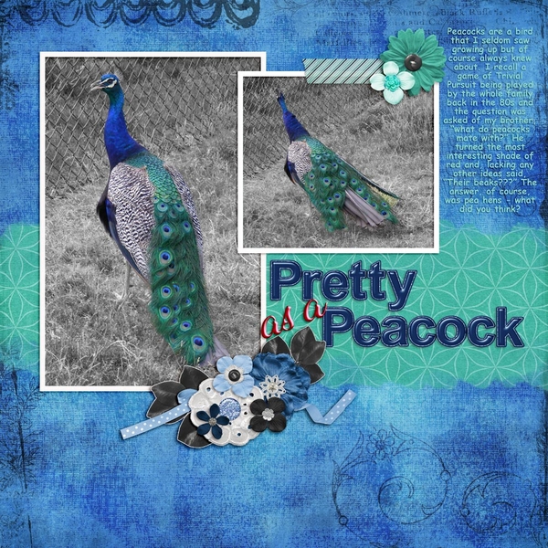 Pretty As A Peacock