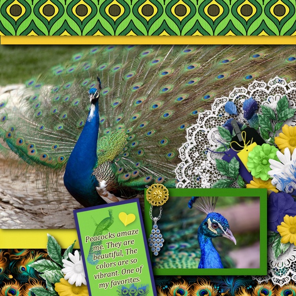 Pretty as a Peacock