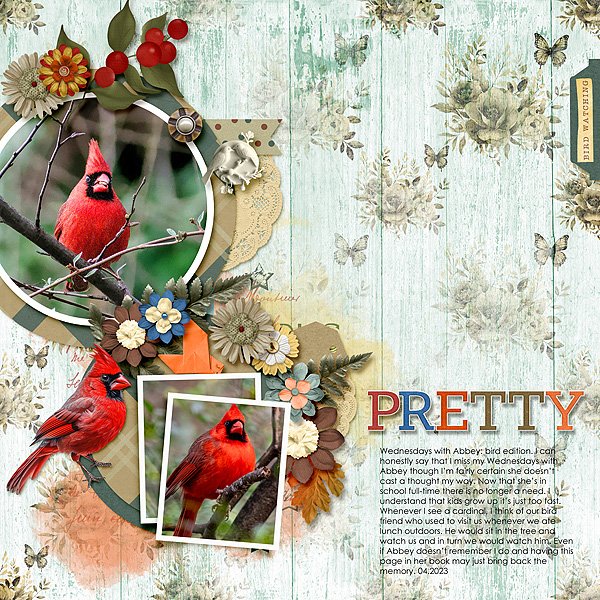 Pretty Bird