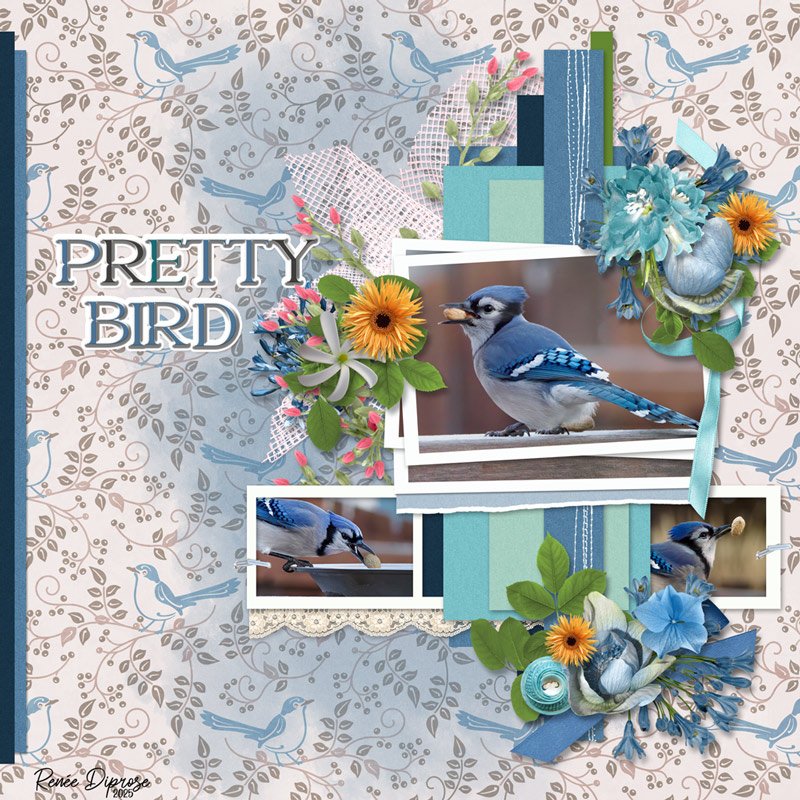 Pretty Bird