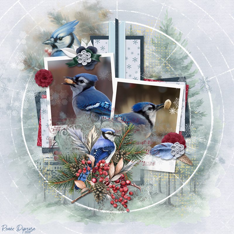 Pretty Bird