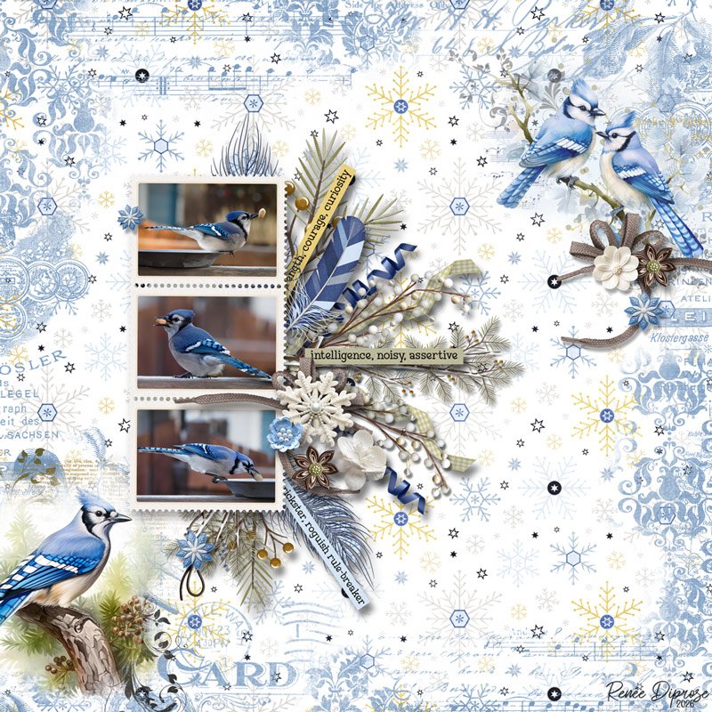 Pretty  Bird