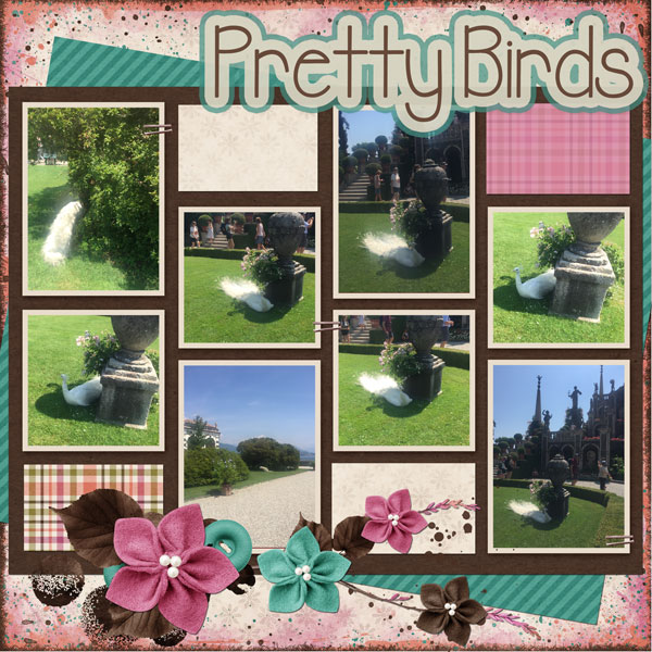 Pretty Birds Nov Mini