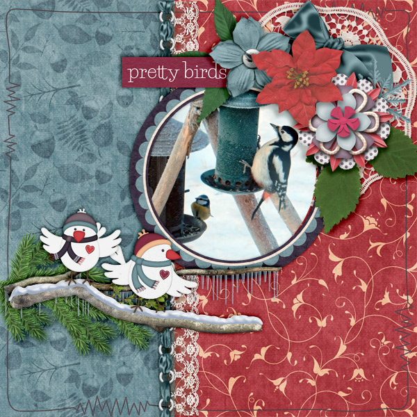 Pretty-birds1