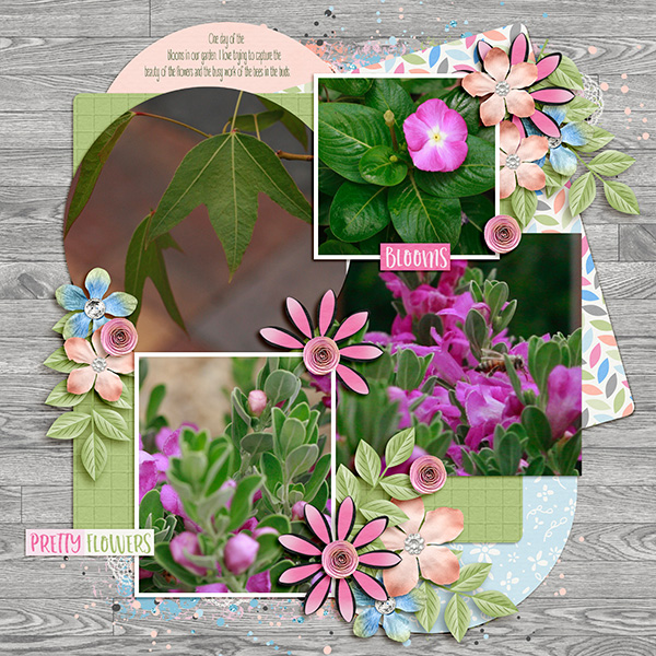 Pretty Blooms