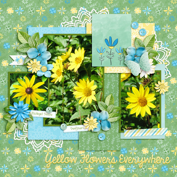 Pretty Blooms