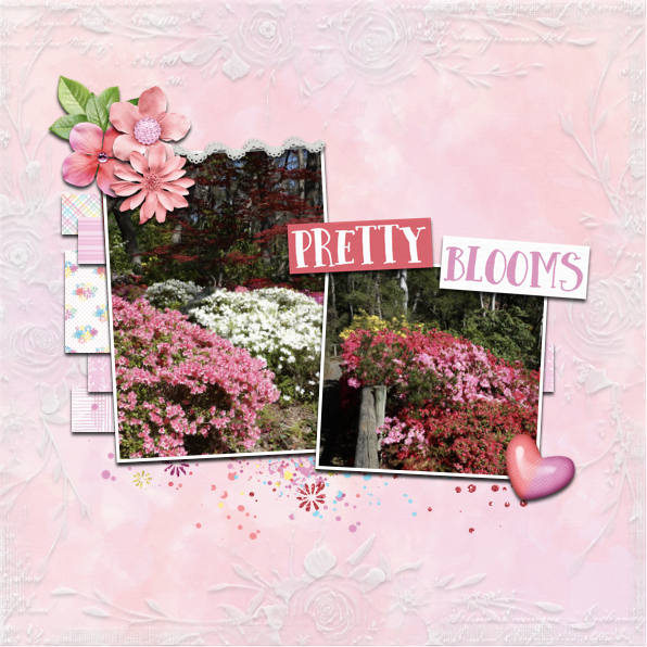 Pretty Blooms