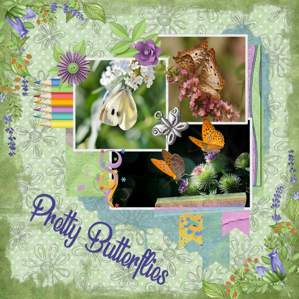 Pretty Butterflies