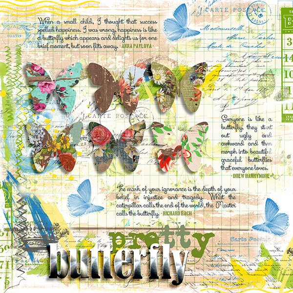 Pretty Butterfly