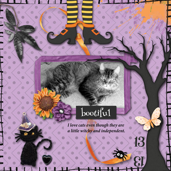 Pretty Cat