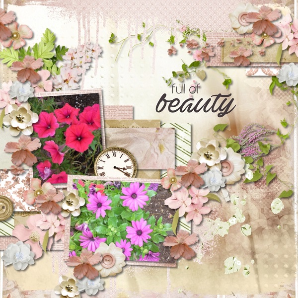 Pretty Flowers
