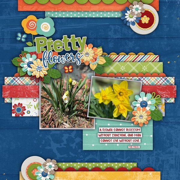 Pretty Flowers