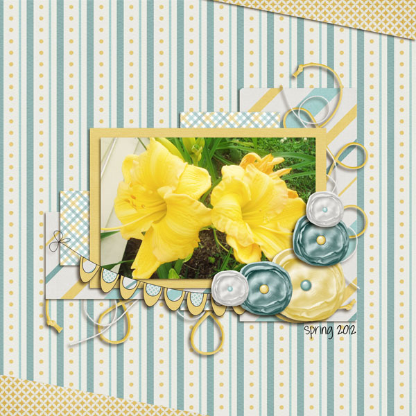 Pretty Flowers