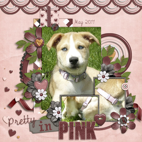 Pretty in Pink