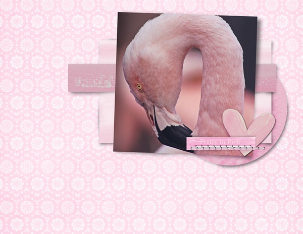 Pretty in Pink