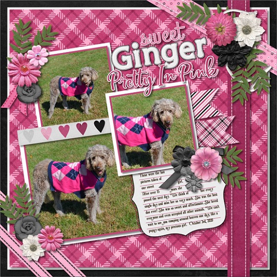 Pretty in Pink
