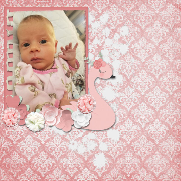 Pretty In Pink