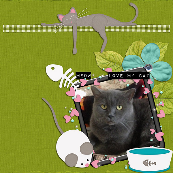 Pretty Kitty{Motley}