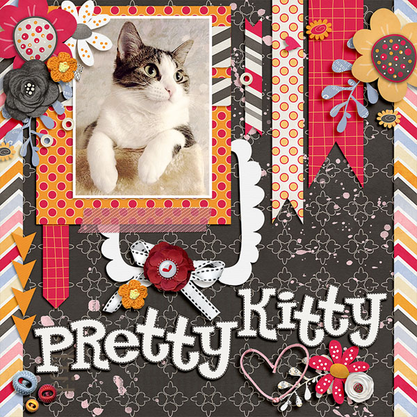 Pretty Kitty