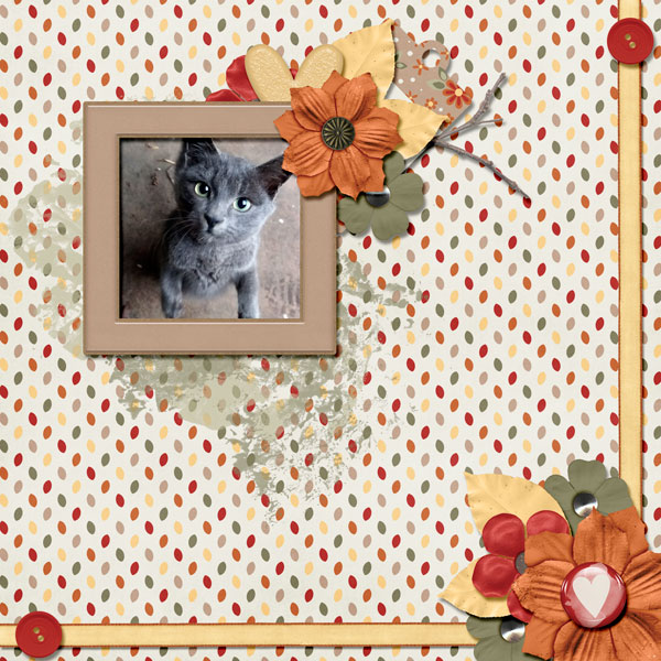 Pretty Kitty