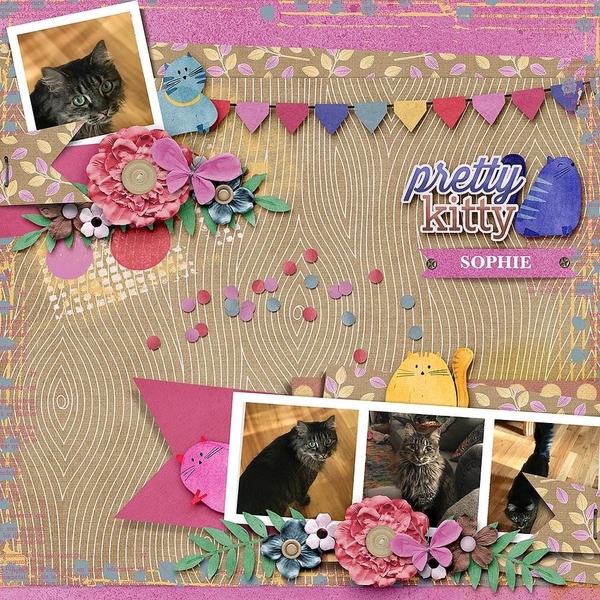Pretty Kitty