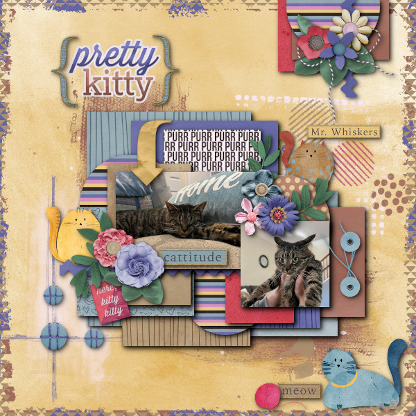 Pretty Kitty