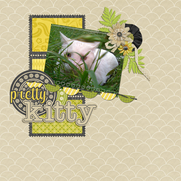 pretty kitty