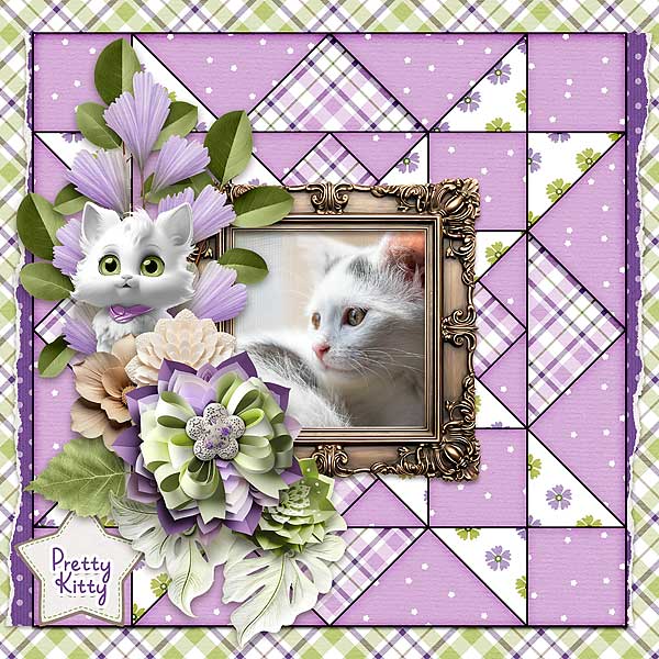 Pretty Kitty