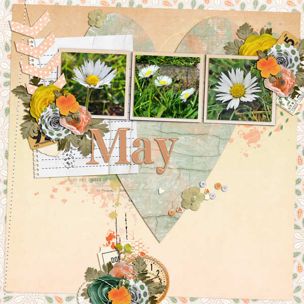 pretty may flowers