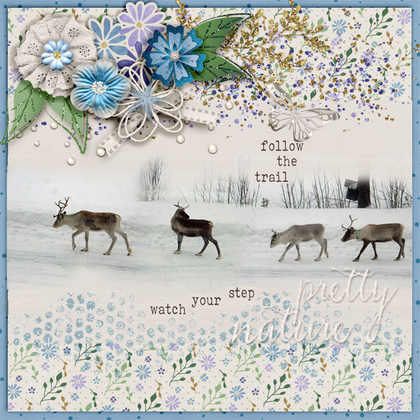 Pretty-nature