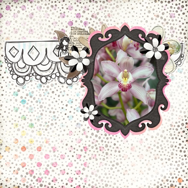 Pretty Orchid