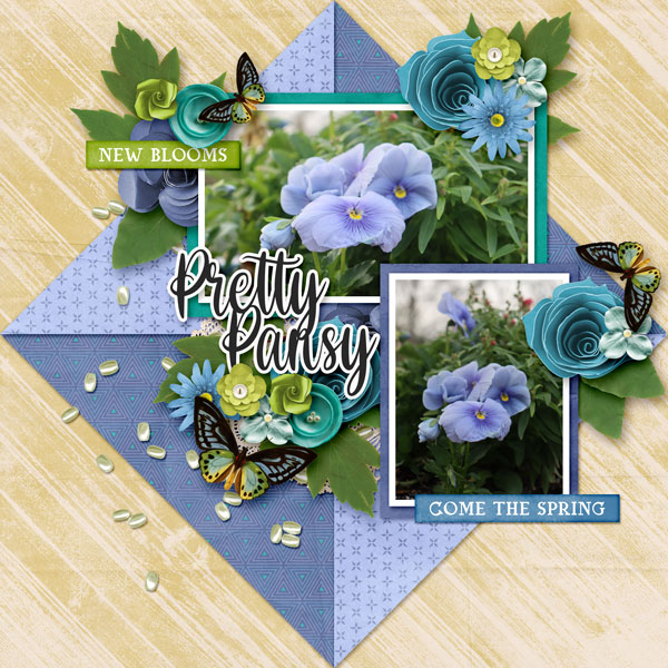 Pretty Pansy