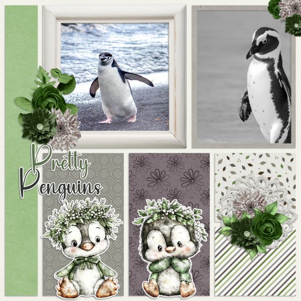 Pretty penguins