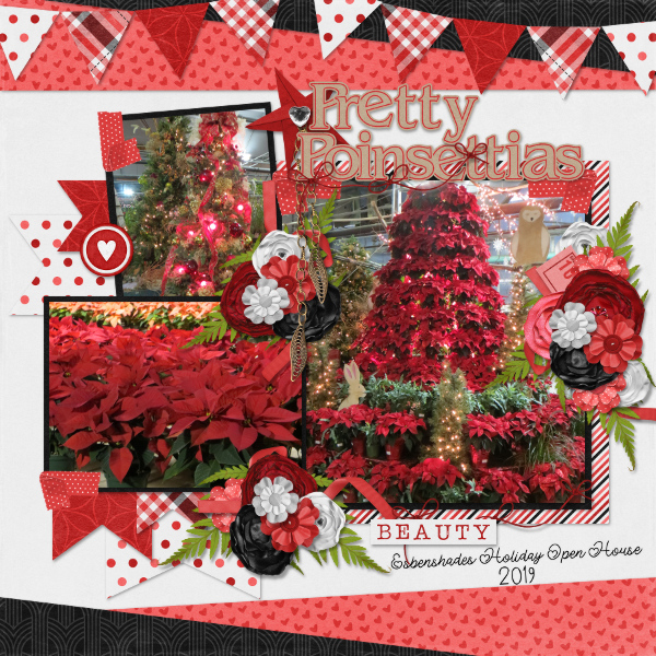 Pretty Poinsettias