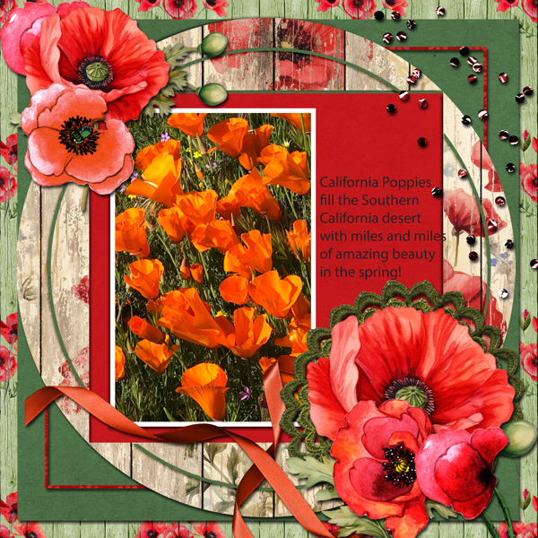 Pretty Poppies