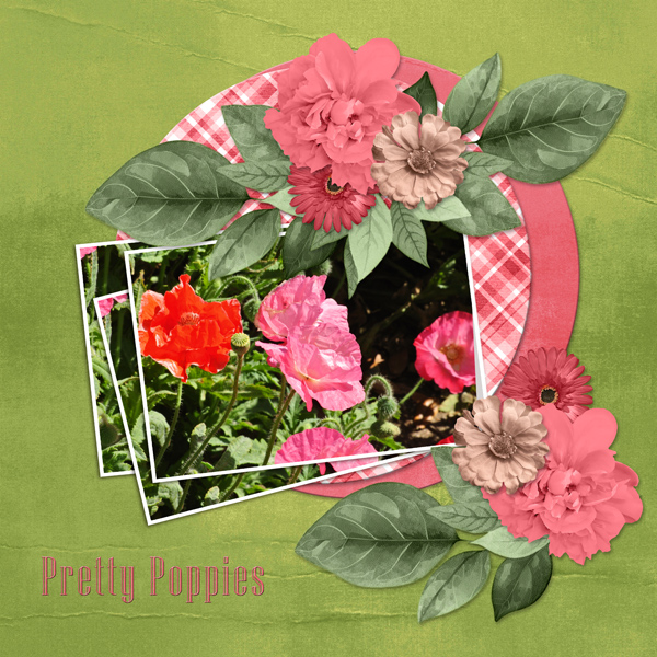 PRETTY POPPIES
