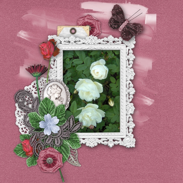 Pretty roses from my garden