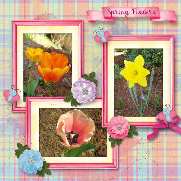 Pretty Spring Flowers