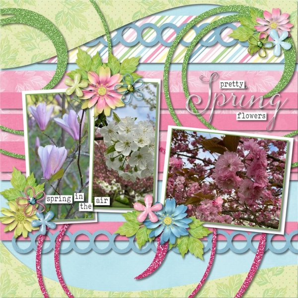 Pretty Spring Flowers