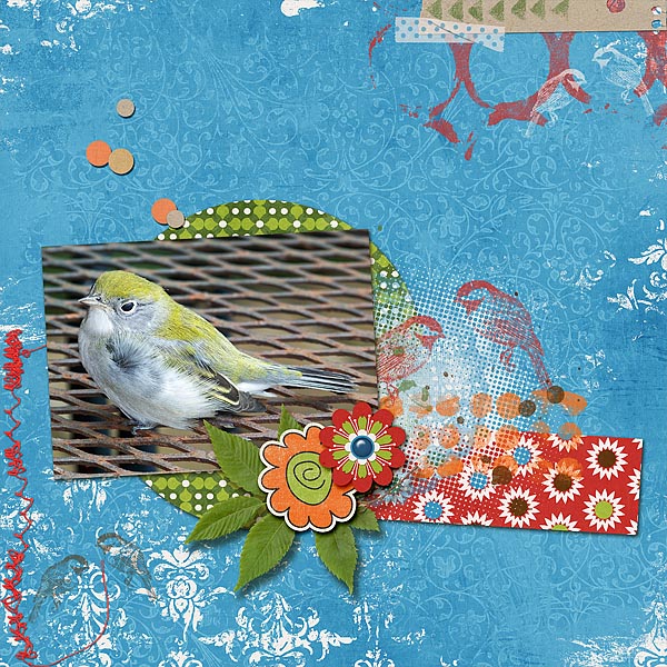 Pretty Yellow Bird