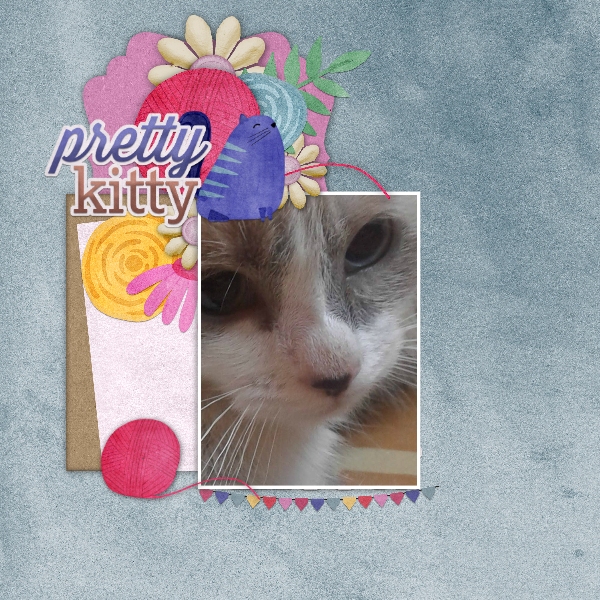 pretty_kitty1