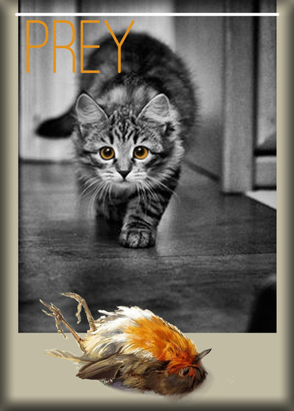 Prey