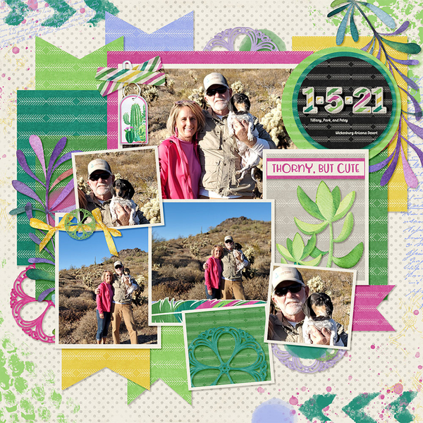Prickly kit from Designs by Connie Prince