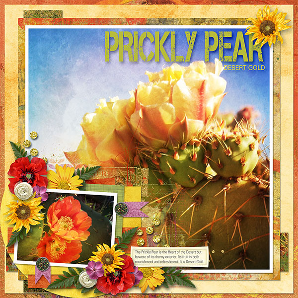 PRICKLY PEAR - DESERT GOLD