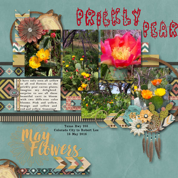 Prickly Pear