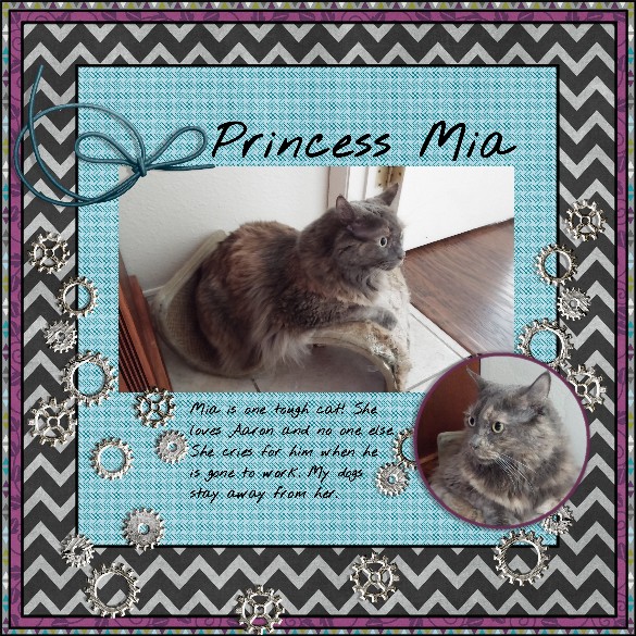 Princess Mia