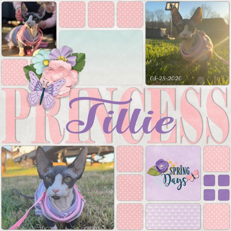 Princess Tillie