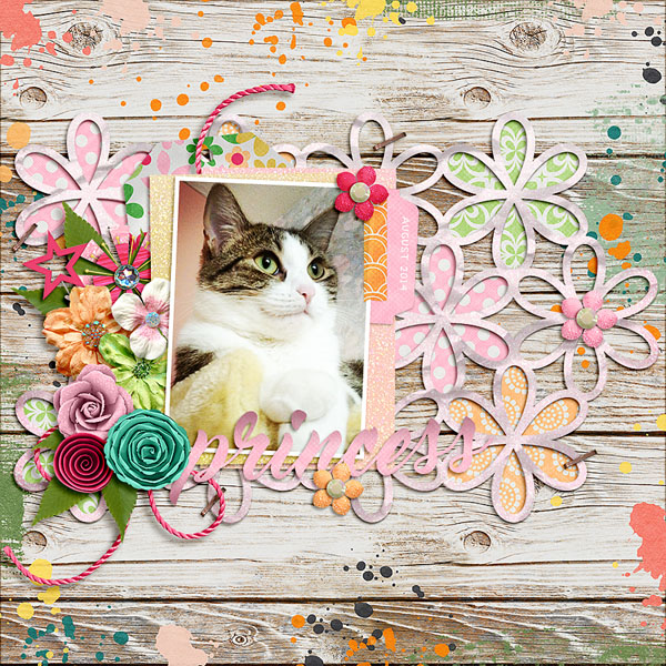 princess