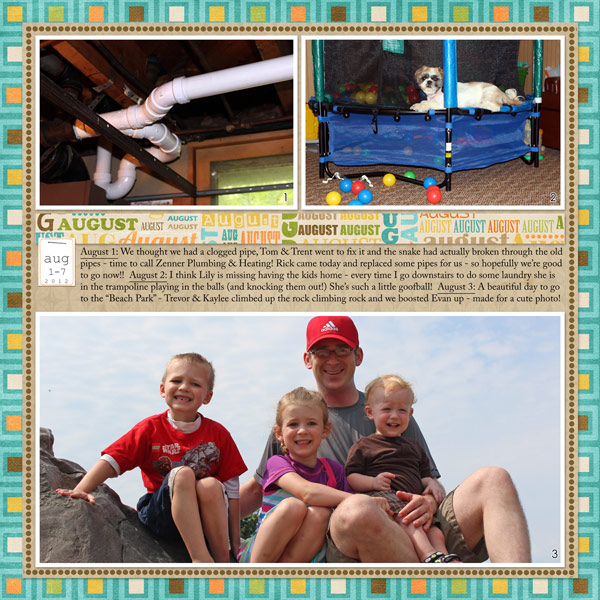 Project 2012: August 1-7a